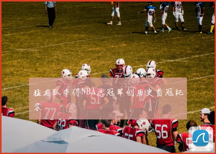 猛龙队夺得NBA总冠军创历史首冠纪录