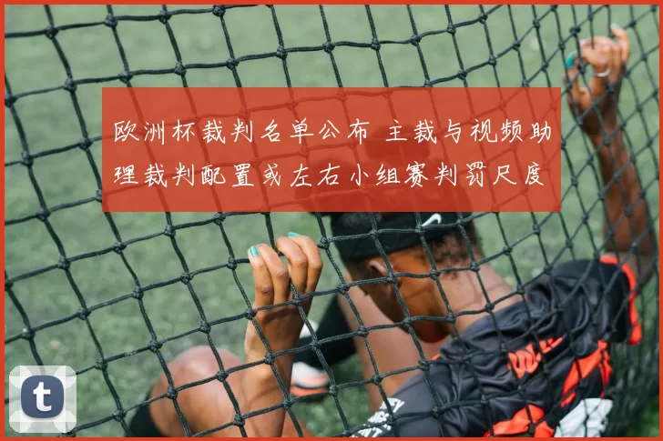 欧洲杯裁判名单公布 主裁与视频助理裁判配置或左右小组赛判罚尺度